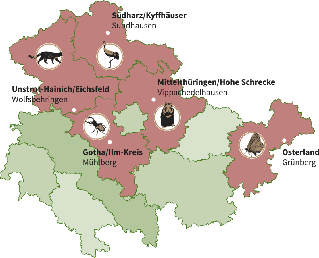 Abbildung der Regionen in Thüringen wo das VIA Natura 2000 Projekt umgesetzt wird.